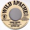 7inch Record SUPER CAT  Come Down WAPACHE013 Wild Apache 2002 US Reggae Ska  Dub Used