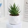 Diamond Succulent Set: Desktop Potted Ornament Decor