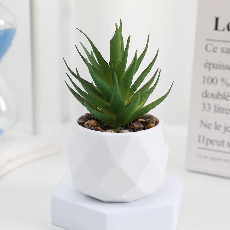 Diamond Succulent Set: Desktop Potted Ornament Decor
