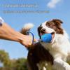Cross-Border Electric Smart Dog Teasing Ball: Bite-Resistant E-TPU Pet Entertainment Bouncing Ball with Rope.