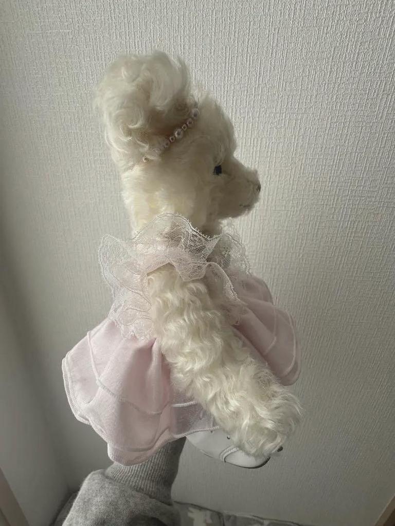 [USED] Excellent Condition Steiff Teddy Bear, Turin 2006, Limited To 250 In Japan