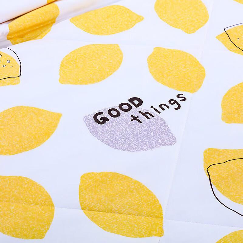 Summer Cooling Refreshing Quilt