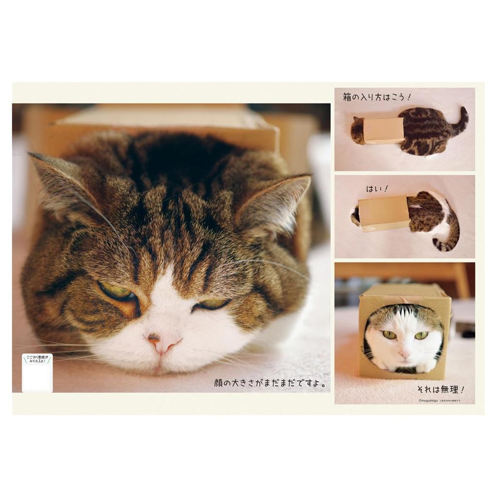 2025 Maruchan Calendar No.041