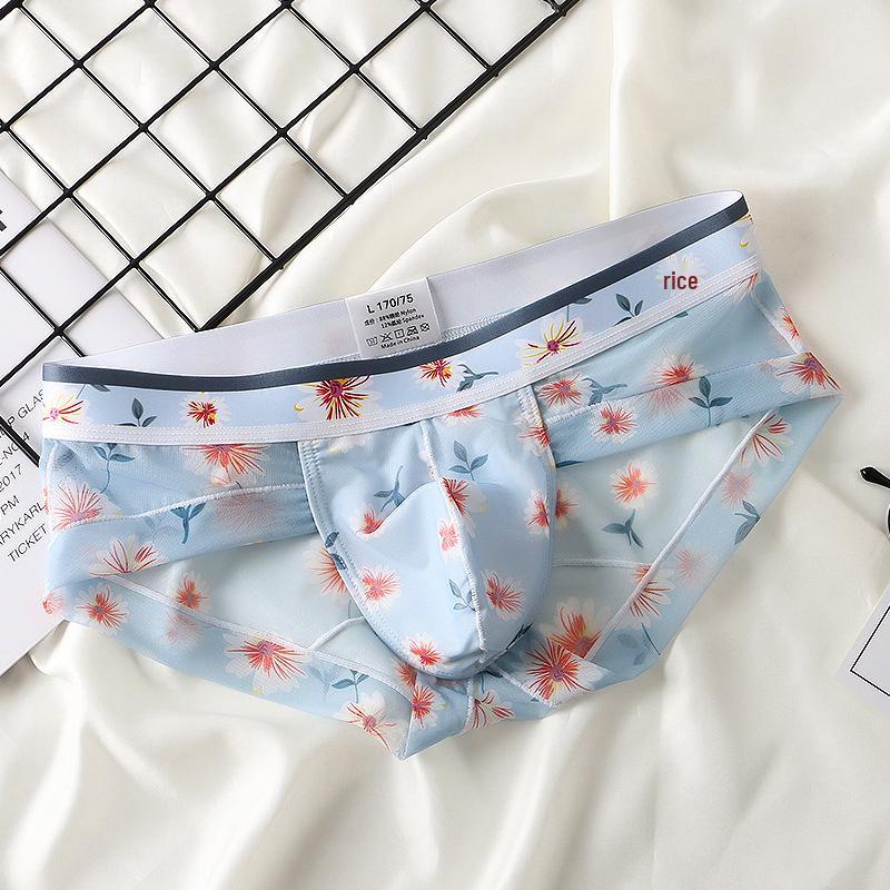 Men's Low Waist Mesh Briefs – Youth Trendy Sexy Underwear for Crossdressers