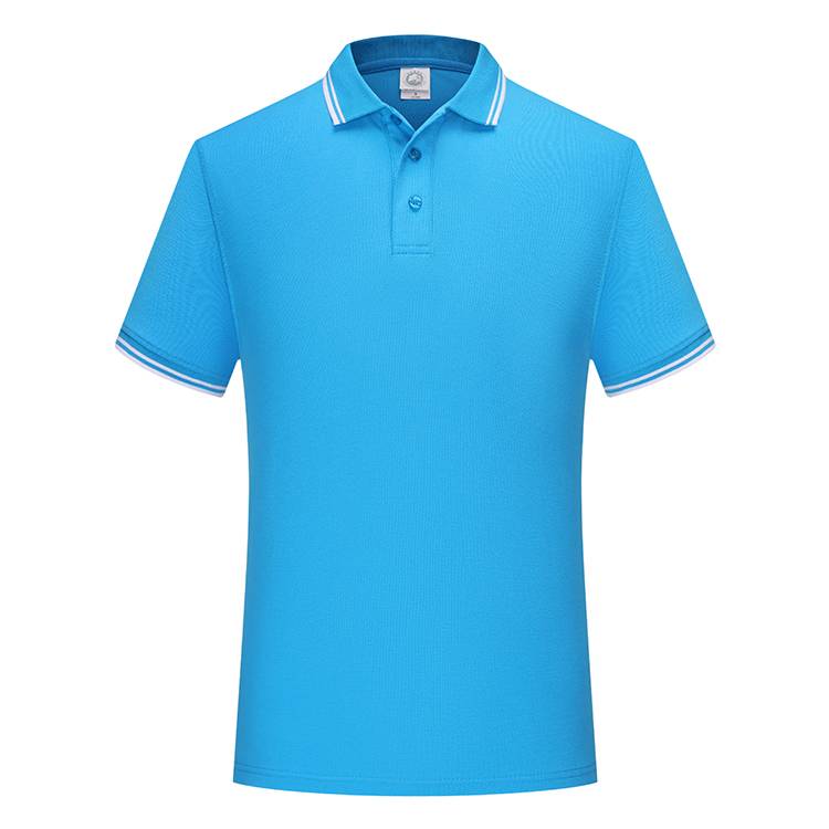 

CY 102TCG 200G РУБАШКА-ПОЛО ИЗ ДВОЙНОГО ПИКЕ 3XL