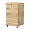 Armadio porta fascicoli scorrevole Heavy Duty su guide, Armadietto di archiviazione con serratura e cassetti, Organizzatore mobile per documenti per Ufficio Scuola