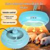 Reptielen – Reptielen terraria