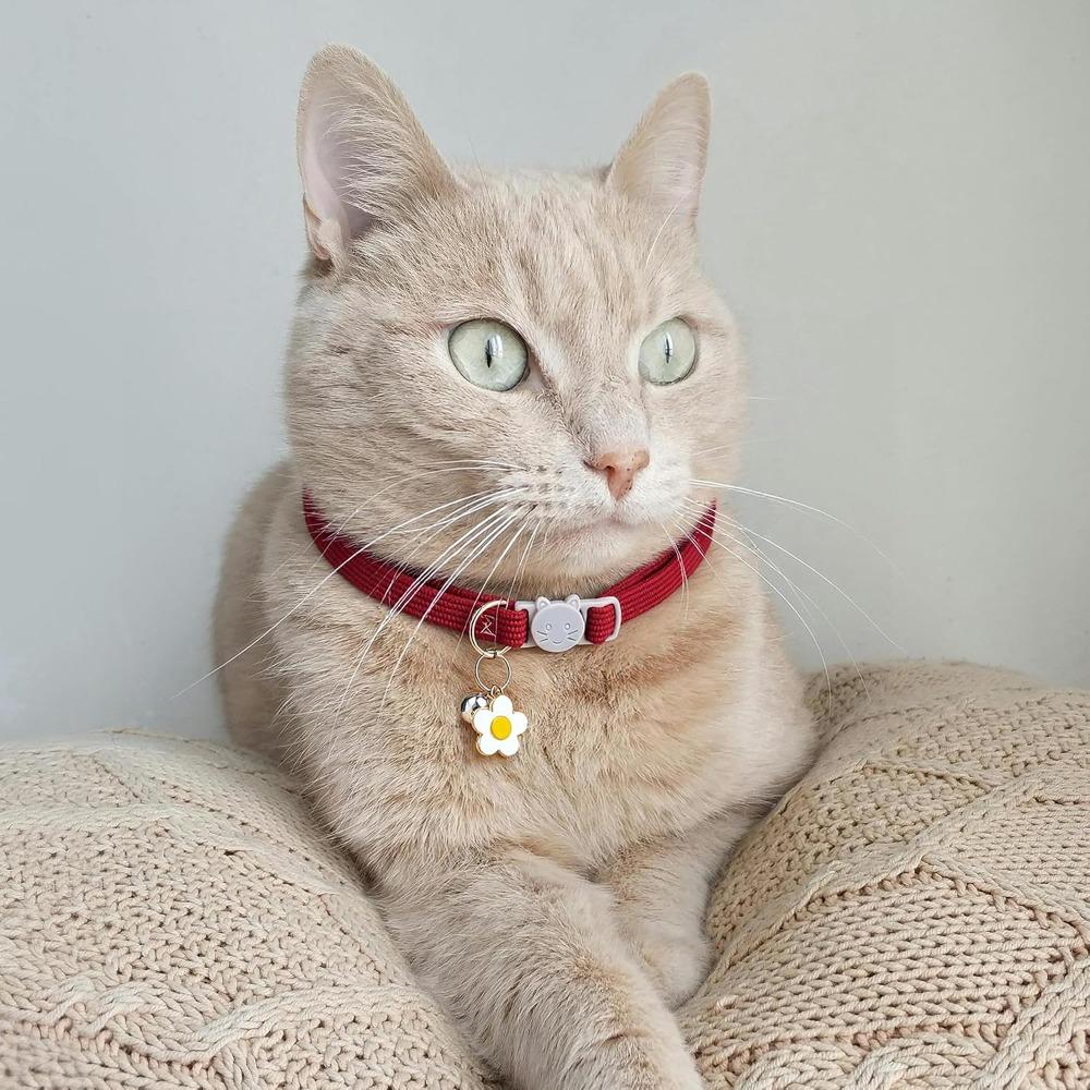 Lovely Corduroy Cat Dog Collar with Bell Flower Adjustable Breakaway Safety Buckle Pet Necklace for Small Medium Dogs Kittens