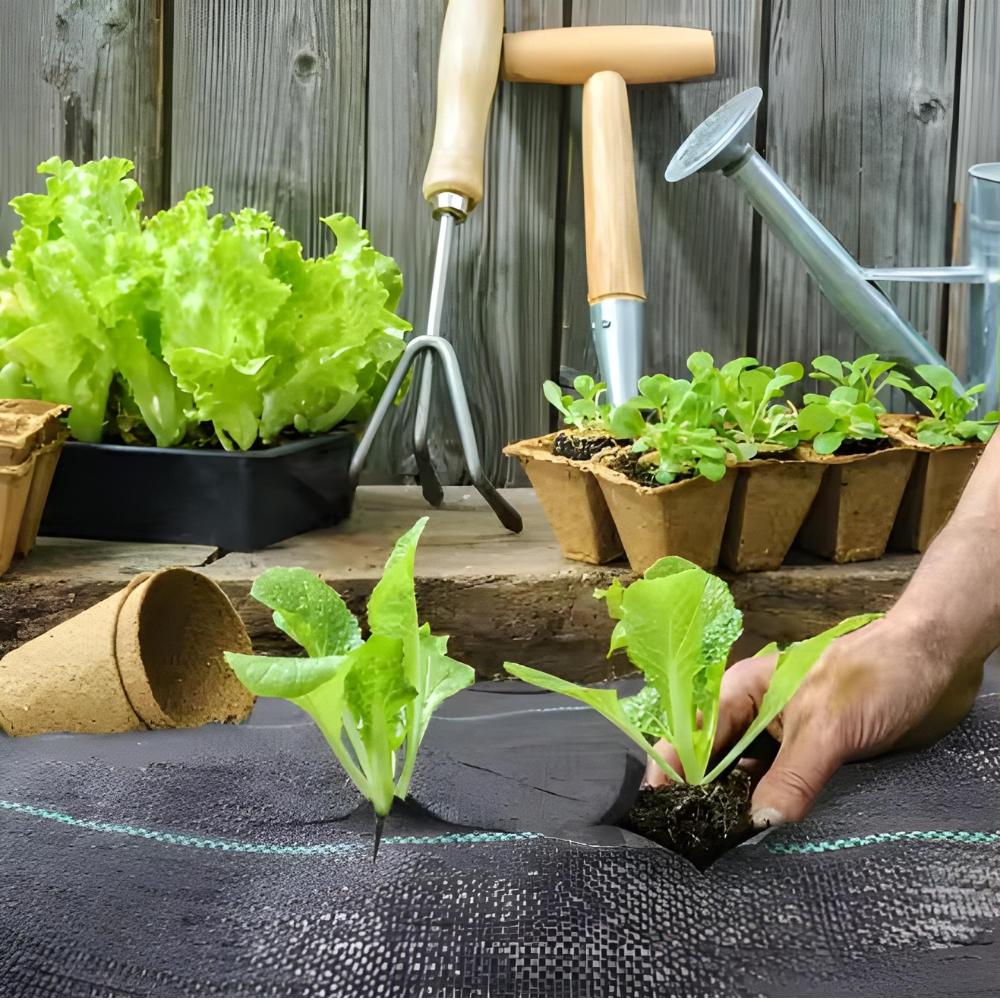 Agrotextile Mulching Fabric Against Weeds 3.2x100m 90g Pins