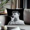 Fashion Qquevadoing Cushion Cover Antidustmite Pillowcase Invisible Zipper Silky Short Plush Sofa Cushion Cover