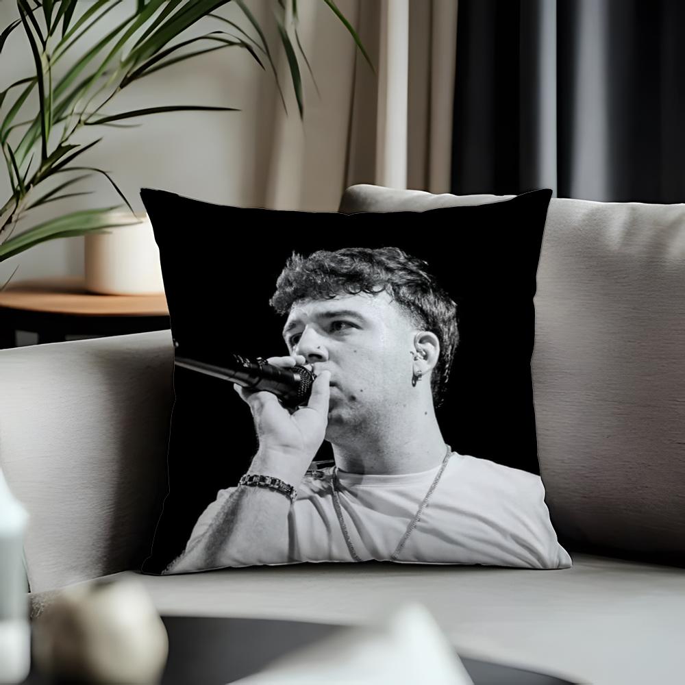 Fashion Qquevadoing Cushion Cover Antidustmite Pillowcase Invisible Zipper Silky Short Plush Sofa Cushion Cover