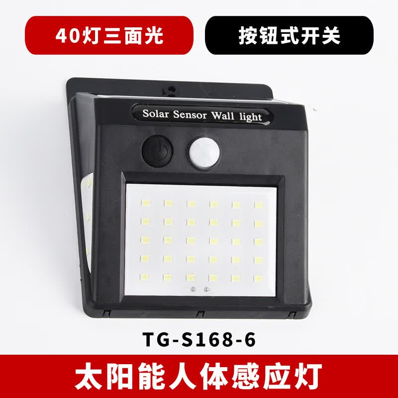 Lishi Solar LED Outdoor Wall and Garden Light