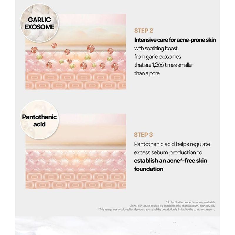VT - Garlic AC Reedle Shot Gel Cream