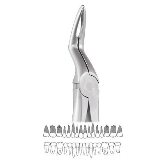 

GDC Extraction Forceps Upper Roots - 897.00 Secure (SFX897.00)