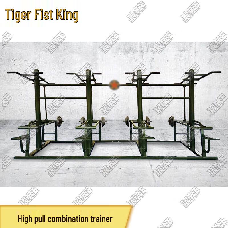 Tiger King Power Combination Trainer