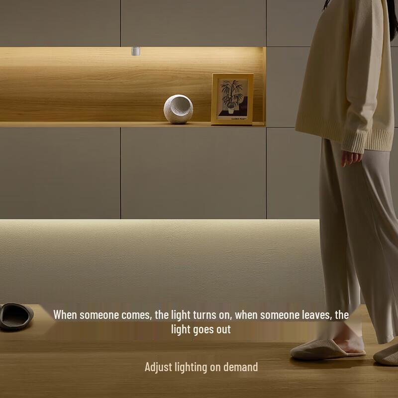 Xiaomi Mijia Human Body Sensor 2S
