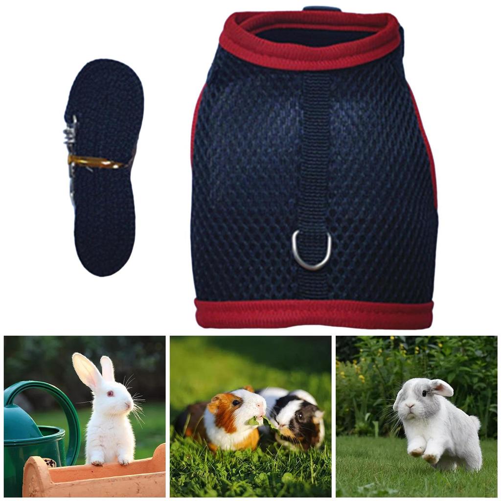 Geschirr und Leine Niedlich Verstellbar für Welpen Kaninchen Kleine Haustiere Beweis