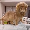 Cat & Small Dog Cute Lion Headgear with Rabbit Ears - Funny Pet Costume Accessories