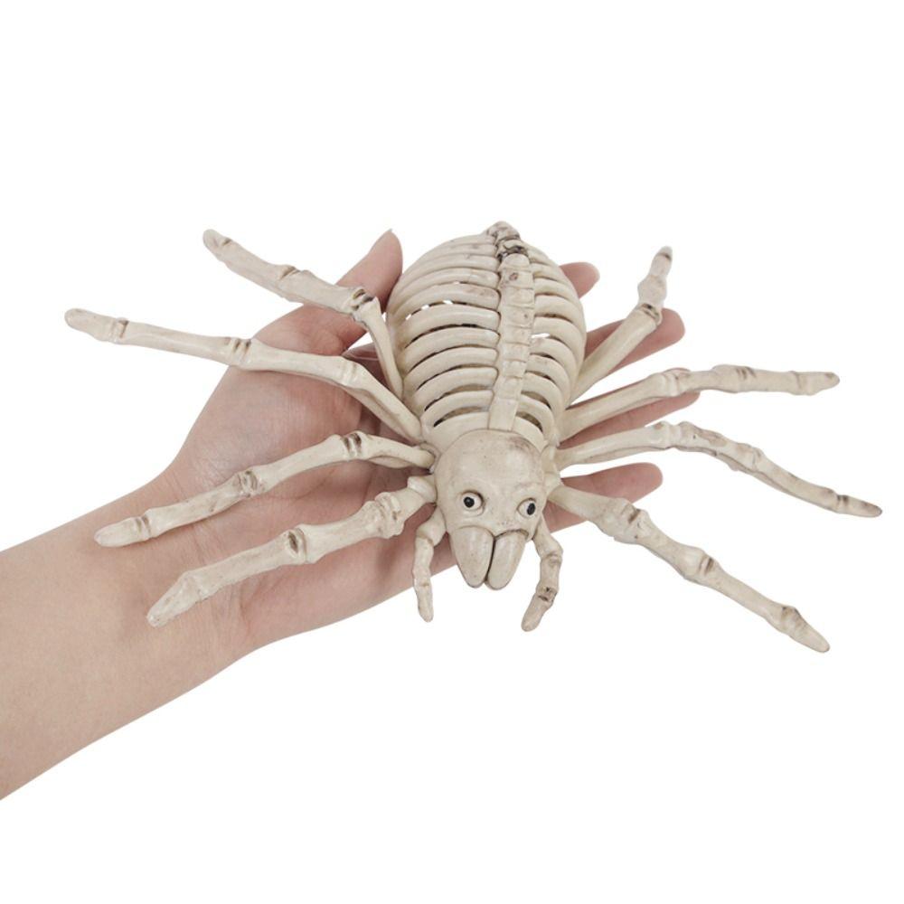 Skeleton Model Halloween Animal Skeleton Bat Mouse Lizard Scorpion Halloween Bats Skeleton   Home