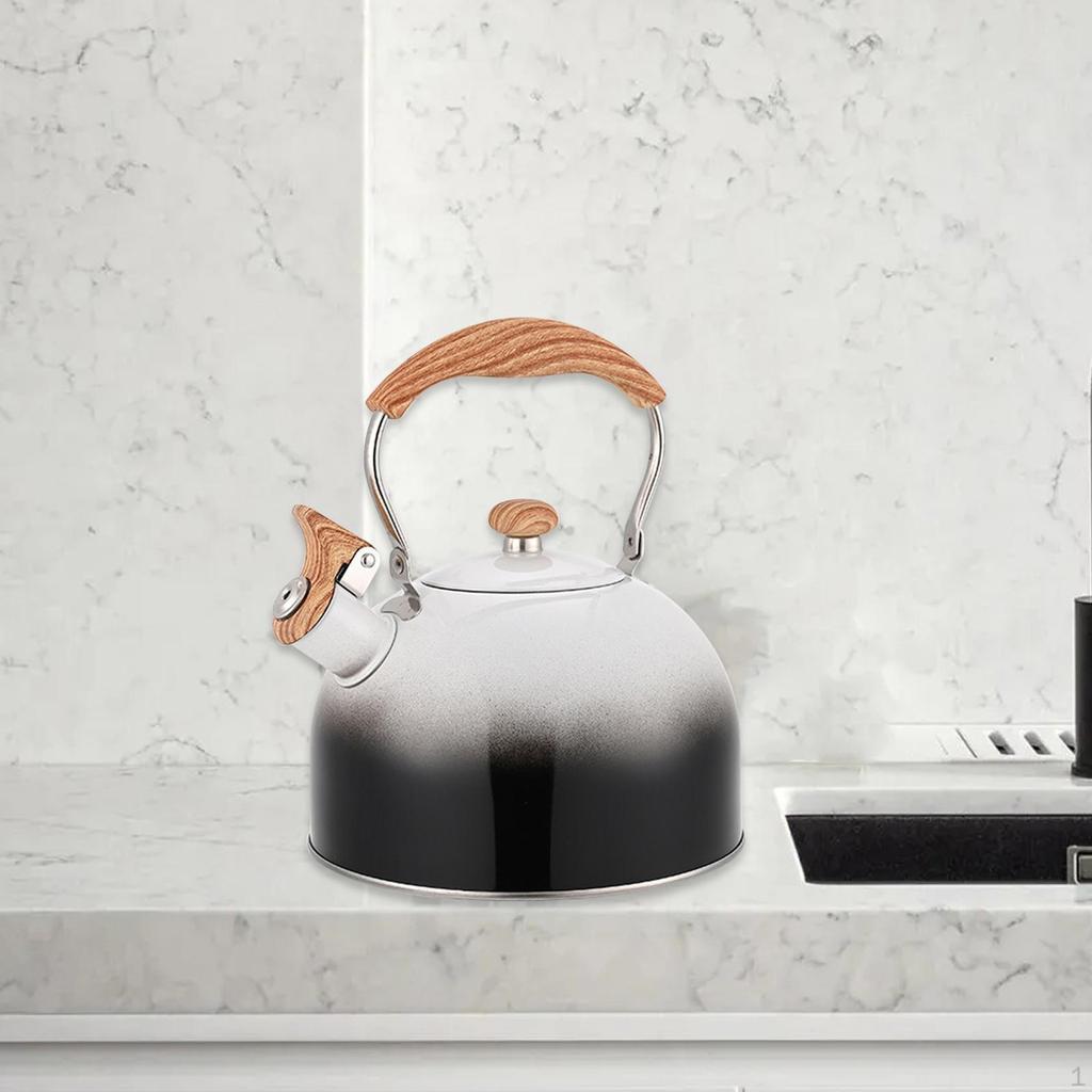 Stainless Steel Kettle for Outdoor Use