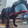 Hunde-Regenmantel mit großem Schirm und Kapuze, reflektierende, wasserdichte Kleidung für Haustiere, Hoodies, Regenjacke, Mantel für kleine und mittlere Hunde, Kleidung, Kostüm