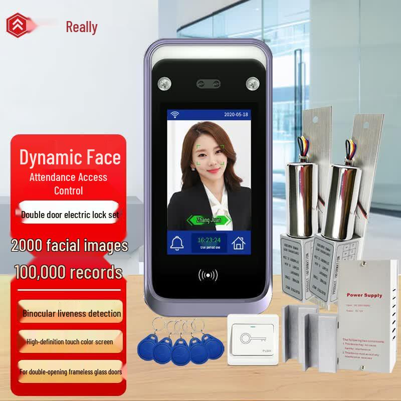 Realand F207T10 Face Recognition Access Control Kit for Double Glass Doors CN plug (adapter included)