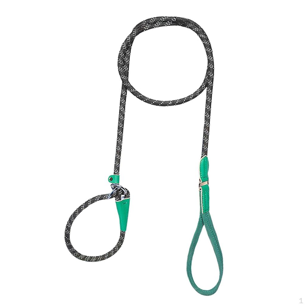 Dog Leash for Active Medium To Large Pets