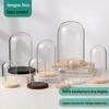 Everlasting Flower Glass Dome with Dust Cover for Displaying Figurine Ornaments