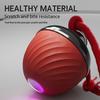 [interactive|intelligent] 1 Interactive Intelligent Dog Ball | Bite Resistant, Tail Rope with Light | Barking, Indoor Pet Game for Small/medium Dogs