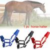 Durability Metal Eye Hook Horse Headgear For Secure Cycling And Training With Rustproofed Stable Bridle Hardware