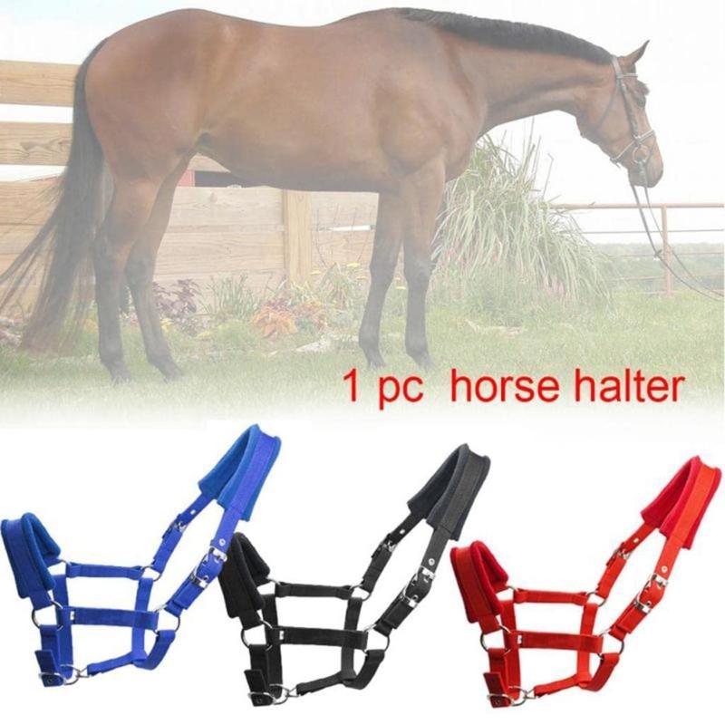Durability Metal Eye Hook Horse Headgear For Secure Cycling And Training With Rustproofed Stable Bridle Hardware