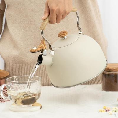 Portable Whistling Pot Tea Kettle with Handle Kitchen Coffee Teapot