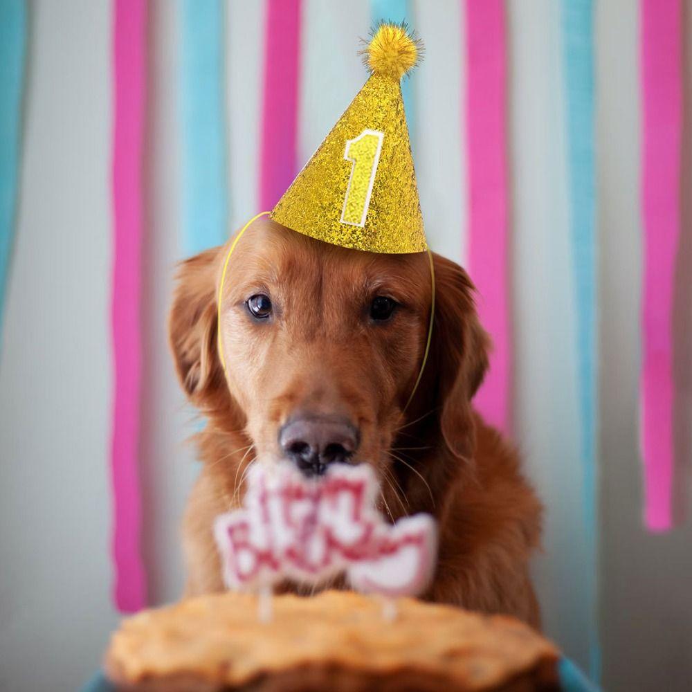 Decorative Dog Sparkling Hat Foldable Cat Headgear Pets Accessories Pet Birthday Hat  For Dogs Cats