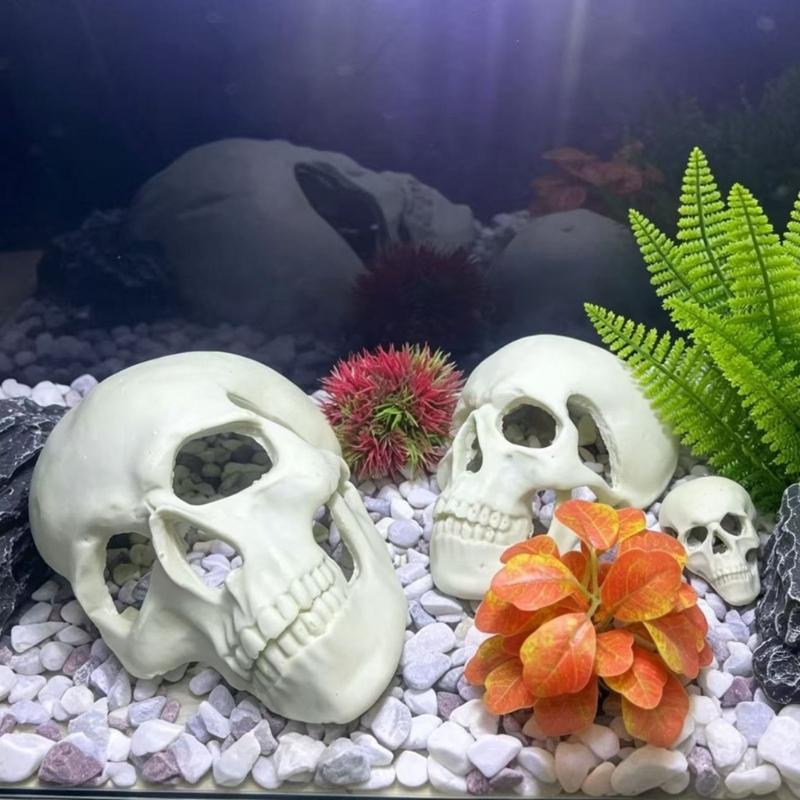 Skull Figurine Accent for Enclosure Styling, Room Display, Shelf Display, and Theme Display Use with Indoor Display