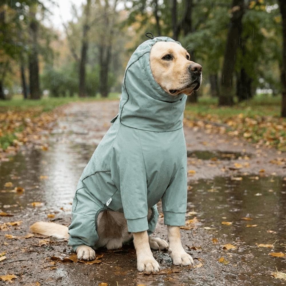 Impermeabile con cappuccio per cani Giacca antipioggia antivento per cani Abbigliamento impermeabile per animali domestici Esterno