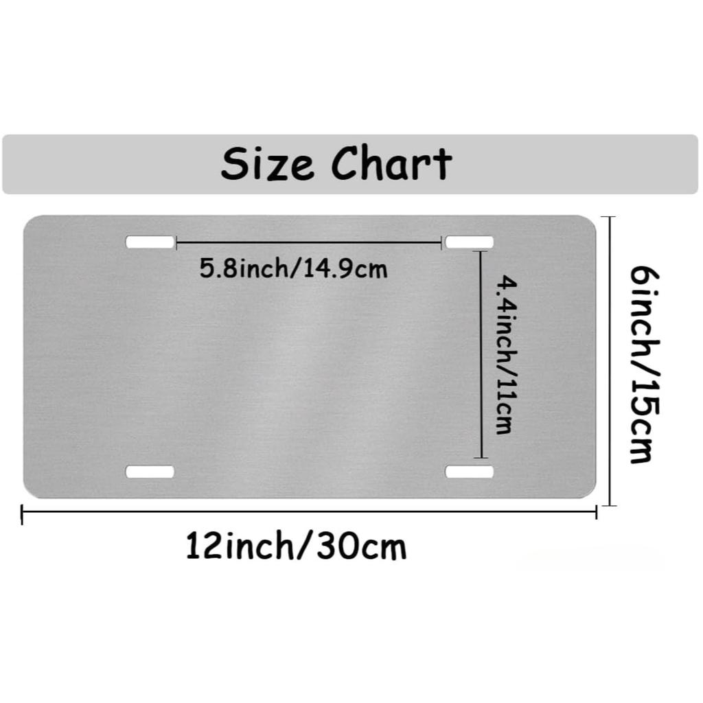 Custom 2D Flat License Plate 12x6 Inch, Personalized Car Tag with Photo, Text, Logo, Lightweight Thickened, 4 Pre-Cut Holes