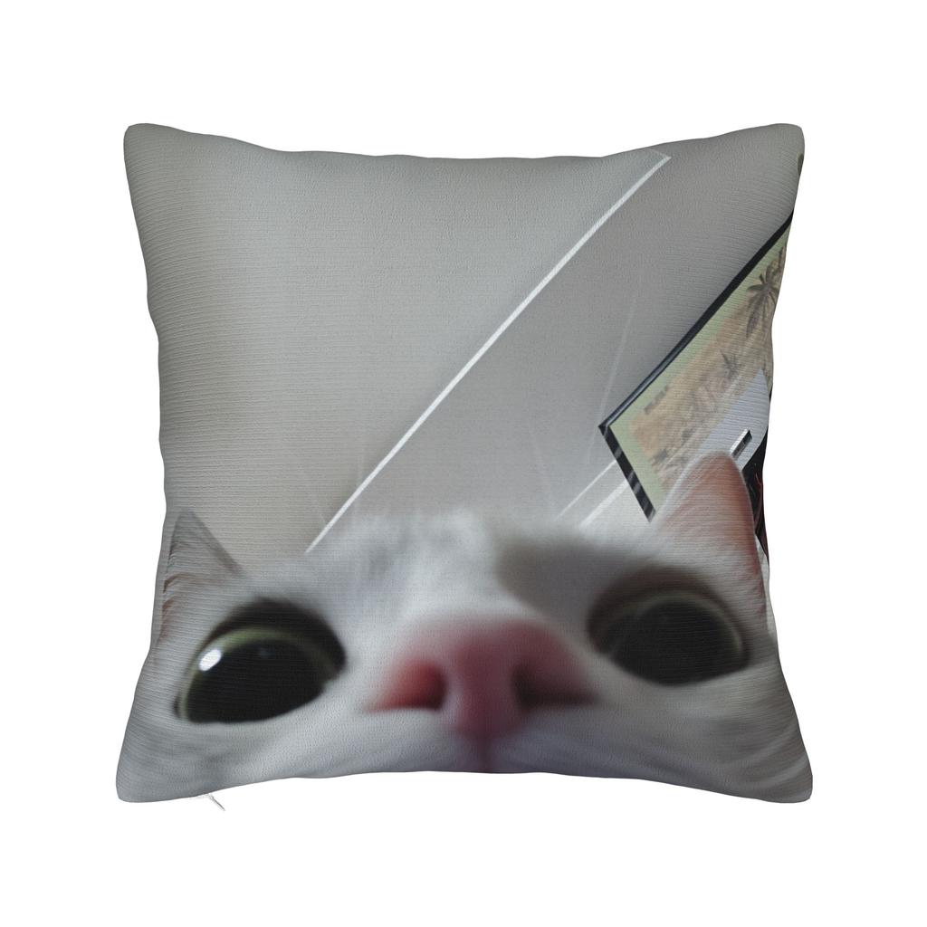 Katzen-Memes Lustiger Meme-Druck Kissenbezug Weicher Kissenbezug für Sofa Auto Heimdekoration Modischer Kissenbezug