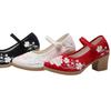 High Heels Women's Shoes Square Heel Light Mouth Round Head Embroidery Sexy and Thin Nightclub Single Shoes Wedding Shoes