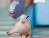 (hej!e) Pigeon Bird Figurine, Wood Carving, Baby Pigeon, Wooden Object, Scandinavian Craft, Doll, Handmade, Basswood, Interior Decor [Parallel Import]