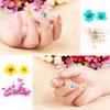 12 Types Colorful Natural Dried Flowers Set Real Dry Flowers Nail Decoration Manicure Arts