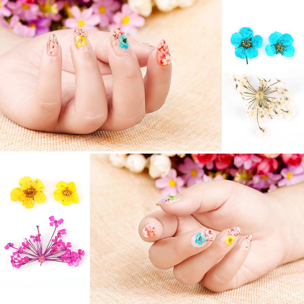 12 Types Colorful Natural Dried Flowers Set Real Dry Flowers Nail Decoration Manicure Arts