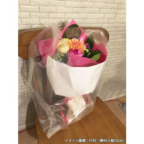 Household Japan Clear Plastic Shopping Bags with Handles, Sizes 40 (West Japan), 30 (East Japan), Heavyweight, 0.04mm Thick (Case Sold), TJ40, 50 Bags