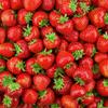The Body Shop Strawberry Body Mist 100 ml Long Lasting Fruity Scent Refreshing Body Spray