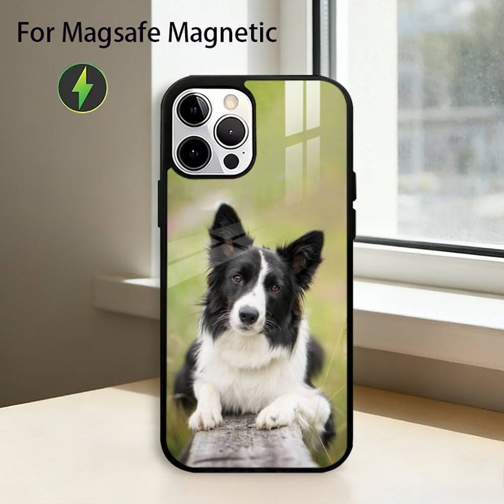 Clever Border Collie Dog Phone Case For iPhone17,16,15,14,13,12,11 Plus,Pro Magnetic with Magsafe Wireless Charging