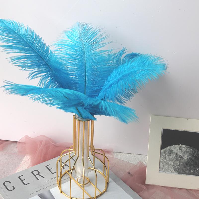 Color 20-25Cm Ostrich Hair Vase Ornament Wall Feather Decoration Hand Bouquet Flower Arrangement Diy Material