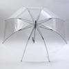 Attain POE Automatic 70cm Rib 3361 Umbrella, Windproof, Length, Clear,