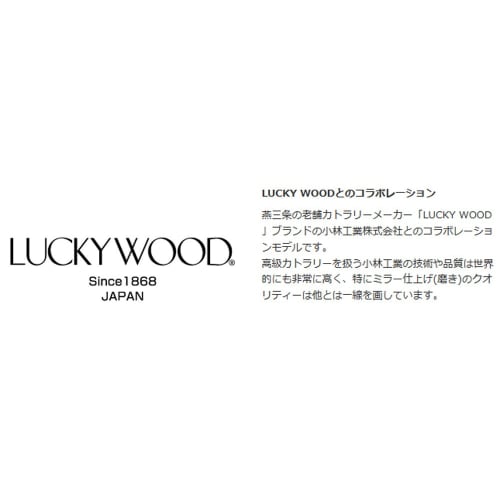 Snow Peak All Stainless Steel Dinner Spoon NT-053