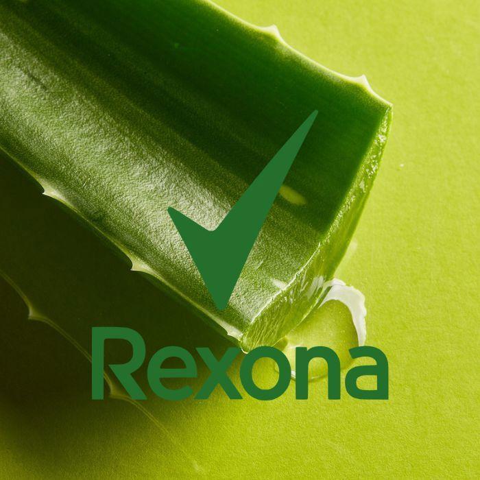 Déodorant - REXONA - Femme - Aloe Vera - 200ml - Sans alcool