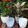 Lazy Self-absorbing Water Flower Planter with Tray Promote Root Respiration Vase Simple Flowerpot for Garden Planting Supplies