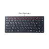 Sanwa Supply Keyboard Wireless (USB A Receiver) Slim Design Antibacterial Pantograph Black SKB-WL36BK